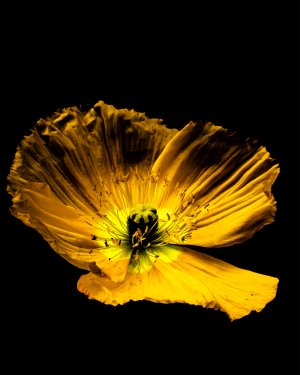 20220430-133837-0278-1 Kopie.jpg