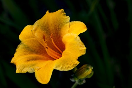 20210627-095006-0032 Kopie kopieren.jpg