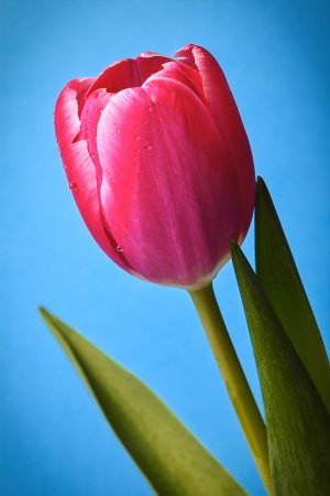 comp_IMG02391-Bearbeitet.jpg comp_IMG02391-Bearbeitet.jpg