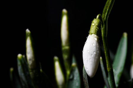 comp_SDIM9757.jpg comp_SDIM9757.jpg