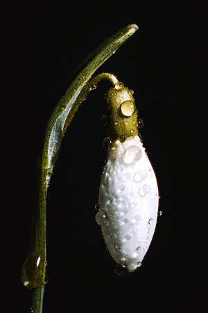 comp_SDQH0007-Bearbeitet.jpg comp_SDQH0007-Bearbeitet.jpg