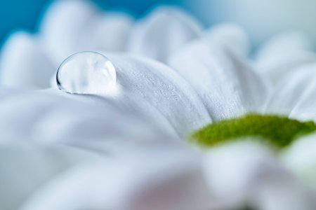 comp_SDQH0333.jpg comp_SDQH0333.jpg