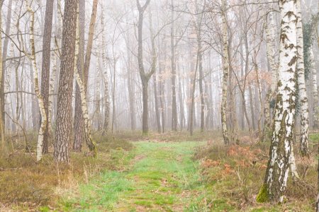 DSC_6357.jpg DSC_6357.jpg