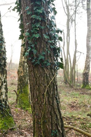 DSC_6359.jpg DSC_6359.jpg