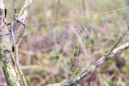 DSC_6382.jpg DSC_6382.jpg