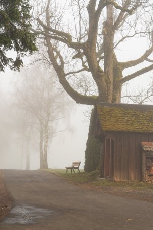 DSC_6374.jpg DSC_6374.jpg