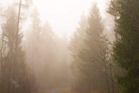 DSC_6376.jpg DSC_6376.jpg