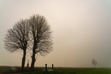 DSC_6384.jpg DSC_6384.jpg