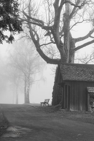 DSC_6374-2.jpg DSC_6374-2.jpg