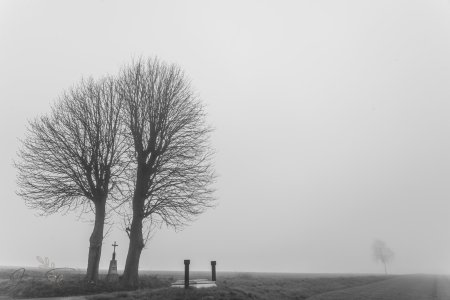 DSC_6384-2.jpg DSC_6384-2.jpg