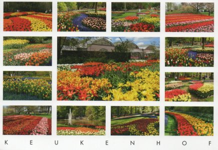 Keukenhof.jpg Keukenhof.jpg