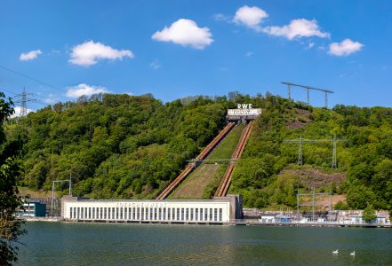 Pamo-klein.jpg Pamo-klein.jpg