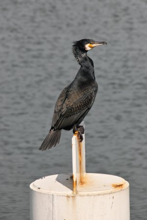 2023-04-04 14-06 SDIM4713.jpg