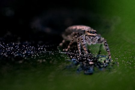 20230529-144912-0012-1 Kopie.jpg