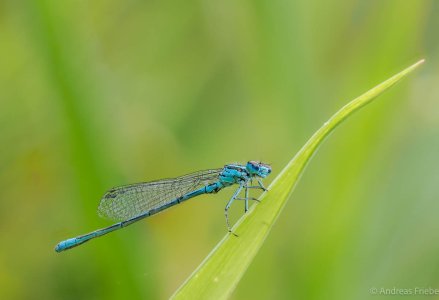 2023-07-18 18-45-05 (B,Radius8,Smoothing4)-Bearbeitet.jpg