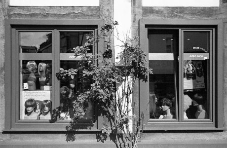 Bild - 10.jpg Bild - 10.jpg