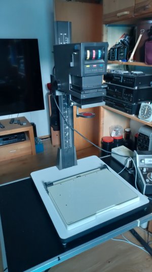 IMG-20230803-WA0008.jpeg IMG-20230803-WA0008.jpeg