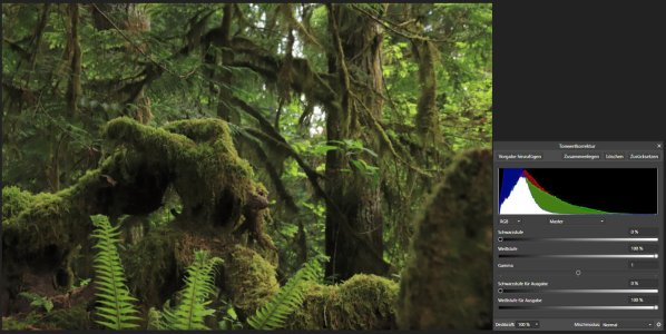 Bild-11.jpg Bild-11.jpg