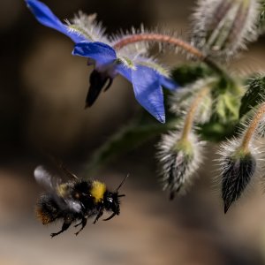 20230608-151201-0344-2 Kopie.jpg