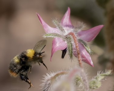 20230608-150519-0203-1 Kopie.jpg