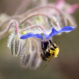 20230608-144139-0178-2 Kopie.jpg