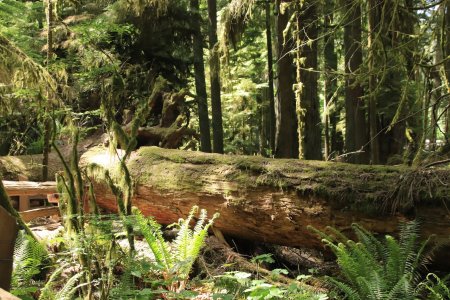 20230601201149_IMG_3528.JPG 20230601201149_IMG_3528.JPG