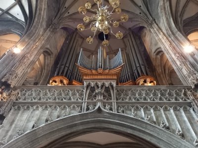 comp9 ST.jpg comp9 ST.jpg