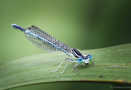 2023-08-13 15-36-50 (A,Radius8,Smoothing4).jpg