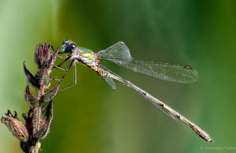 2023-09-15 18-22-42 (B,Radius8,Smoothing5).jpg