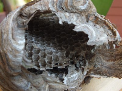 DSCF5677a.jpg DSCF5677a.jpg