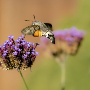 20231001-150845-0080-1 Kopie.jpg