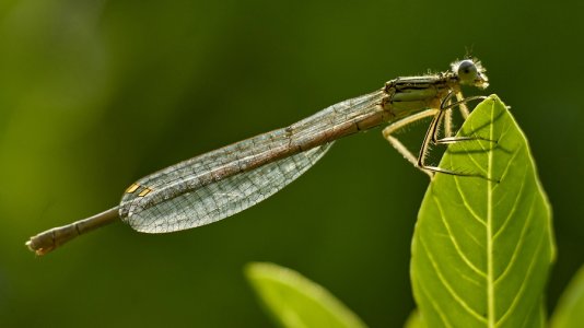 DSC00971 Urlaub 2023 kl.jpg