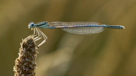 DSC01028 Urlaub 2023 kl.jpg