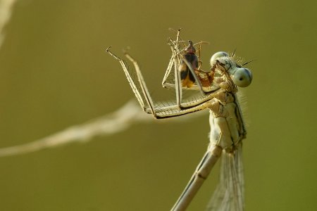 DSC01043 Urlaub 2023 kl.jpg