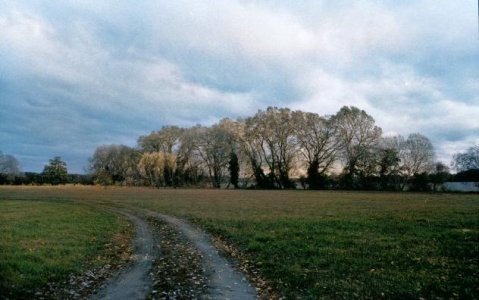 Erase tool tutorial 4_VZleL__please_credit[palette.fm].jpg