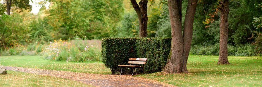 GFXD0082_Panorama.jpg GFXD0082_Panorama.jpg