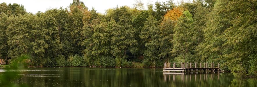 GFXD0099_Panorama.jpg GFXD0099_Panorama.jpg