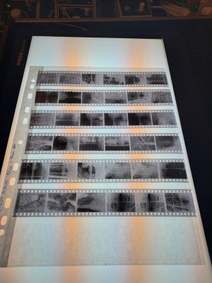 Bild - 16.jpg Bild - 16.jpg