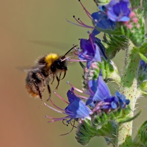 F_P1419471PS_f_f.jpg F_P1419471PS_f_f.jpg