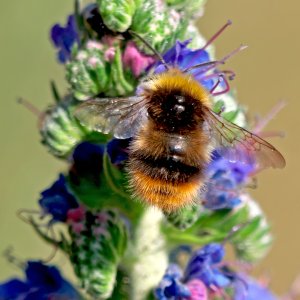 F_P1419446PS_f_f.jpg F_P1419446PS_f_f.jpg