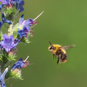 F_P1419433PS_f_f.jpg F_P1419433PS_f_f.jpg