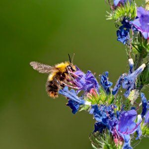 F_P1419421PS_f_f.jpg F_P1419421PS_f_f.jpg