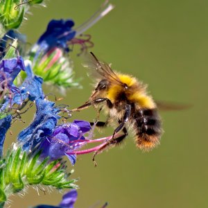 f_P1419374ps_f_f.jpg f_P1419374ps_f_f.jpg