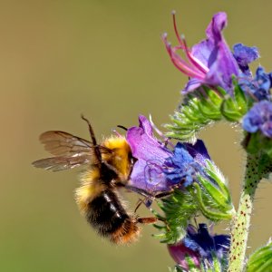 F_P1419340ps_f_f.jpg F_P1419340ps_f_f.jpg