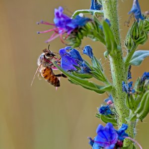 Fpic03_f.jpg Fpic03_f.jpg