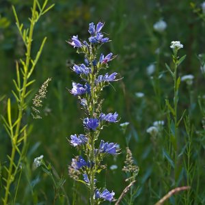 Fpic01_f.jpg Fpic01_f.jpg