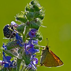 Fpic04_f.jpg Fpic04_f.jpg