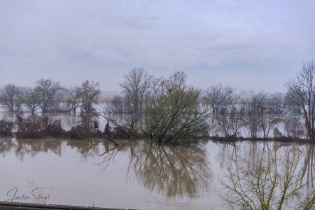 DSC_3837_klein.jpg DSC_3837_klein.jpg