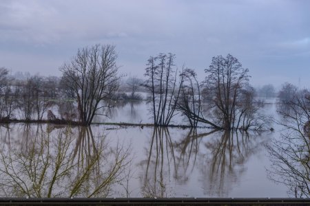 DSC_3838_klein.jpg DSC_3838_klein.jpg