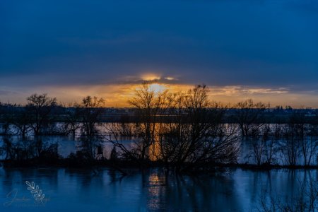 DSC_3854_klein.jpg DSC_3854_klein.jpg